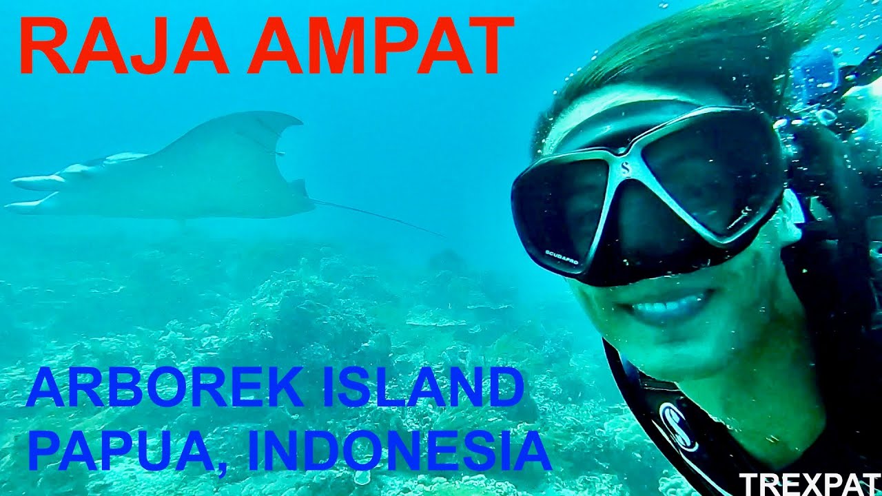 Indonesia - Raja Ampat (Arborek Island) 🇮🇩🐠 | Travel guide