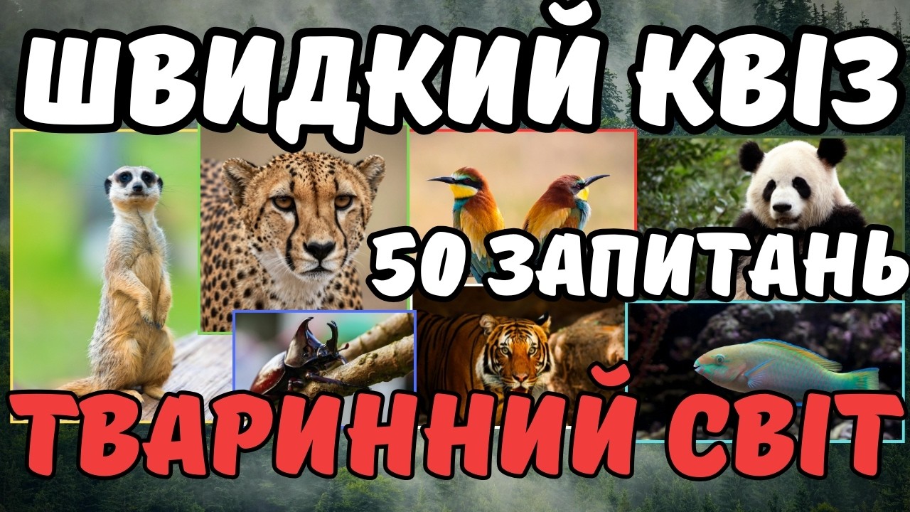 Швидкий квіз про твариний світ від команди 
