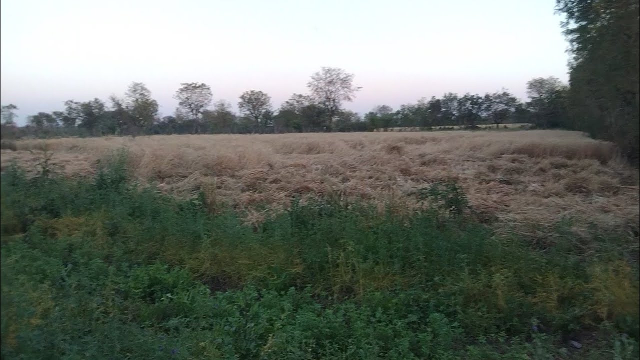 Aaj Maine Kya Kaam Kiya 😅#viral #vlog #minivlog #farming