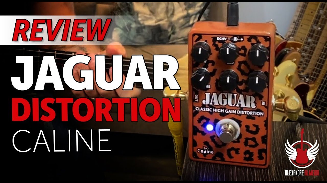 Jaguar Classic High Gain Distorcion Caline - Review + Dicas