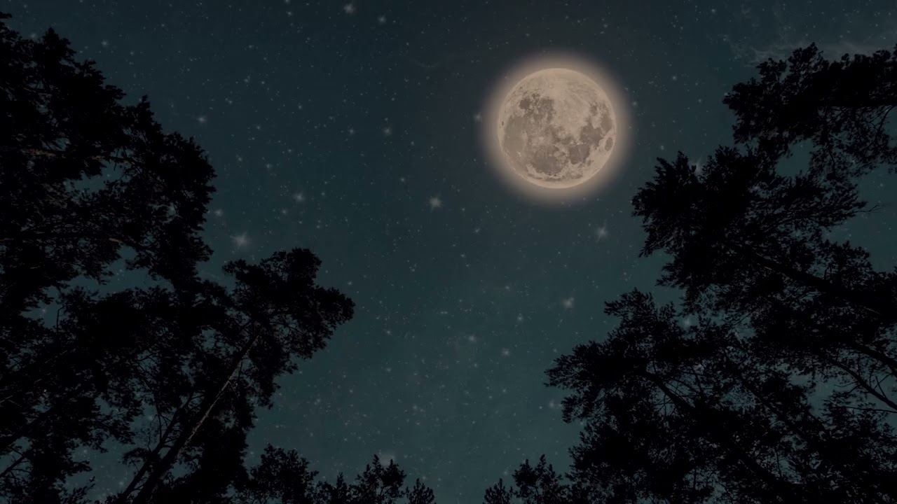 🎧 Night Insects & Forest Ambience | Deep Sleep, Relaxing Night Sounds | 3 Hours