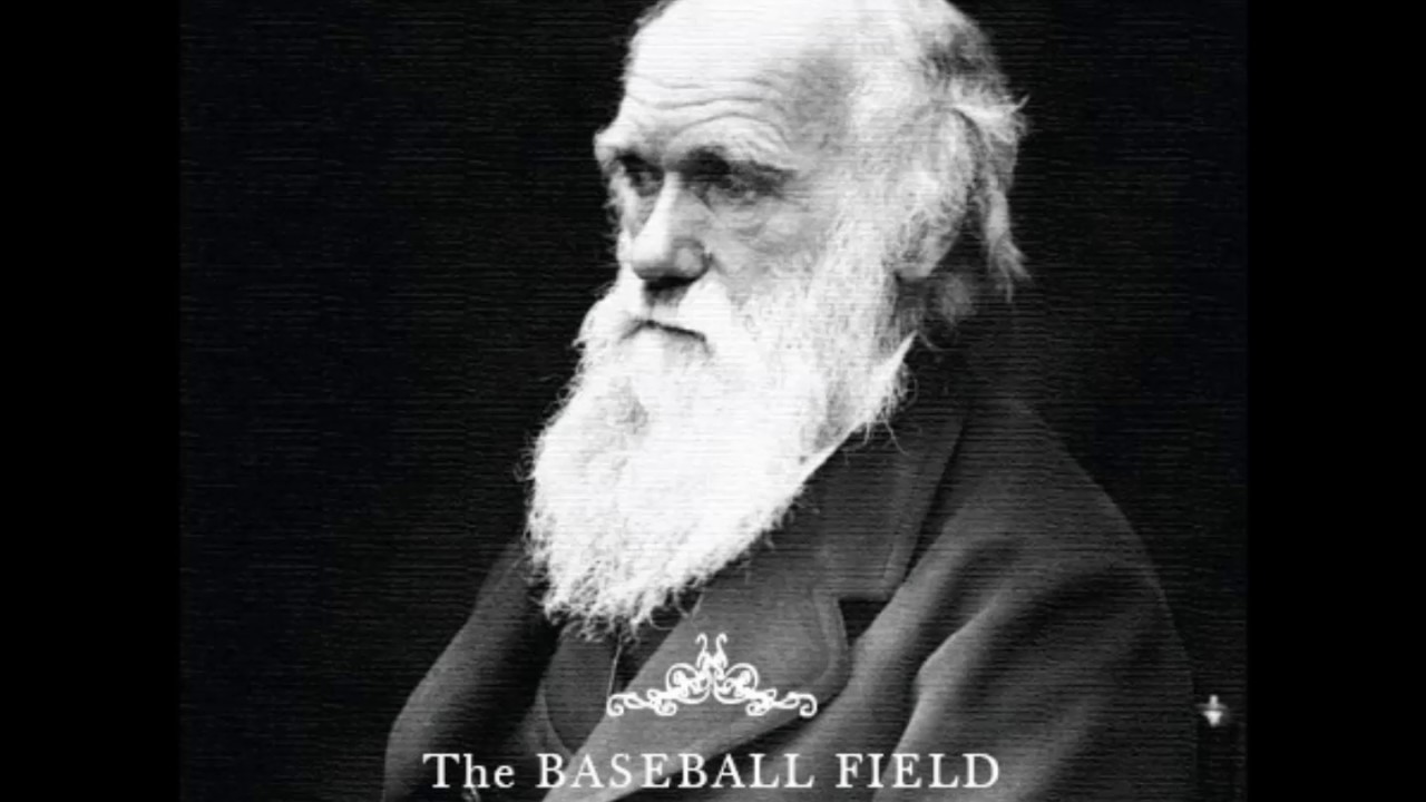 The Baseball Field - Numbers