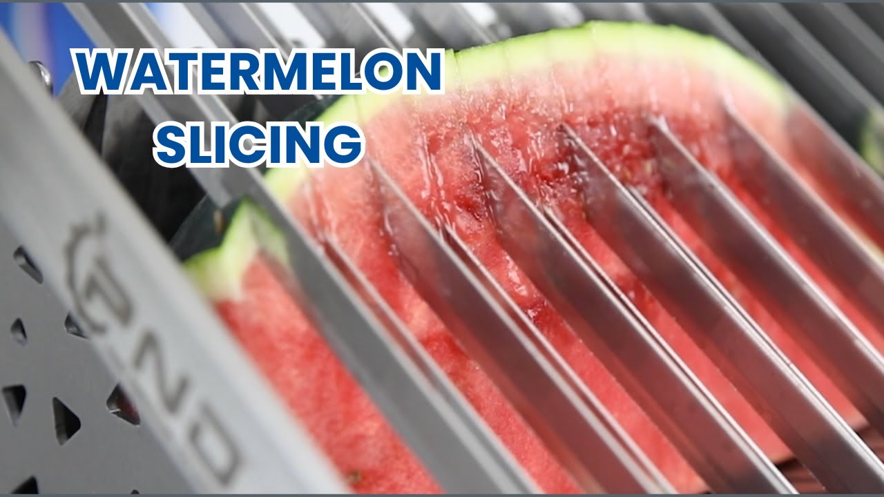 SUMMIT MACHINERY - PND MWS Watermelon Slicing