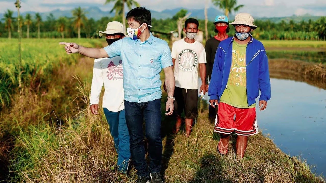 MANNY PACQUIAO VISITS RICE FARMERS