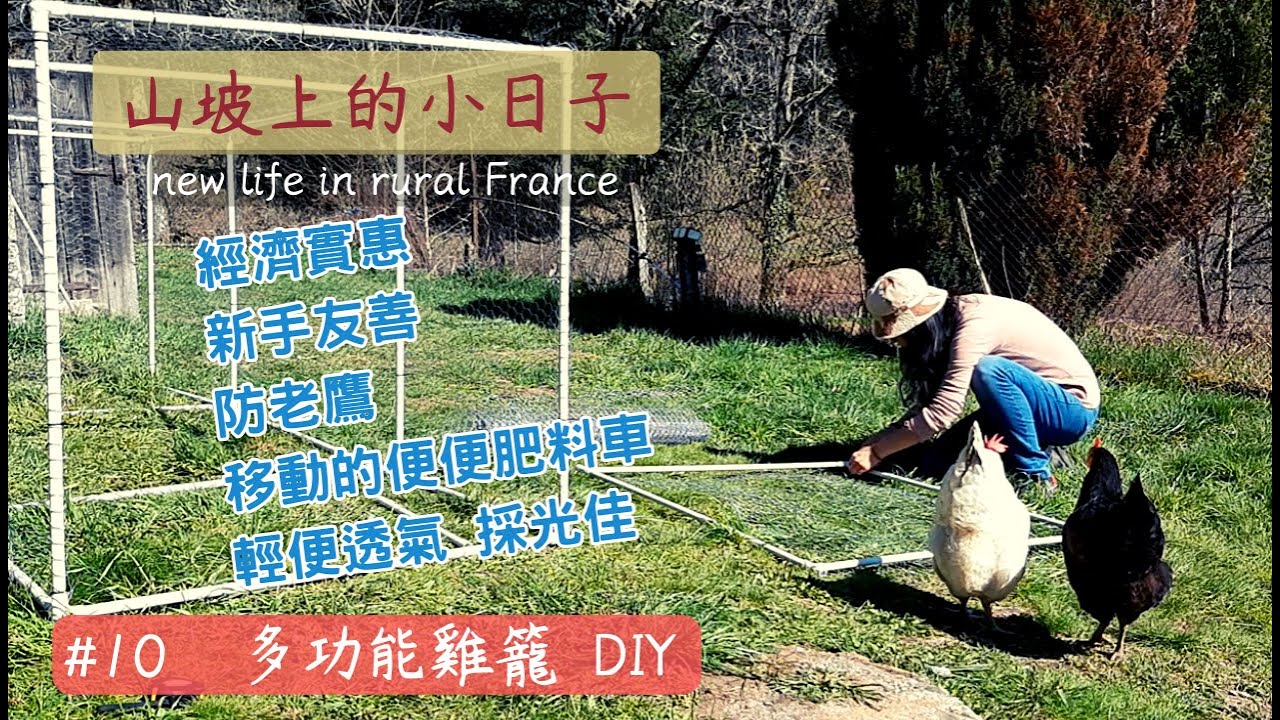 #10  DIY 高CP值雞籠｜移動方便 母雞每天吃新鮮的草｜集中糞便養土｜自由和生命 哪個價更高？｜但失去自由的雞無精打采｜life of my pet chicken