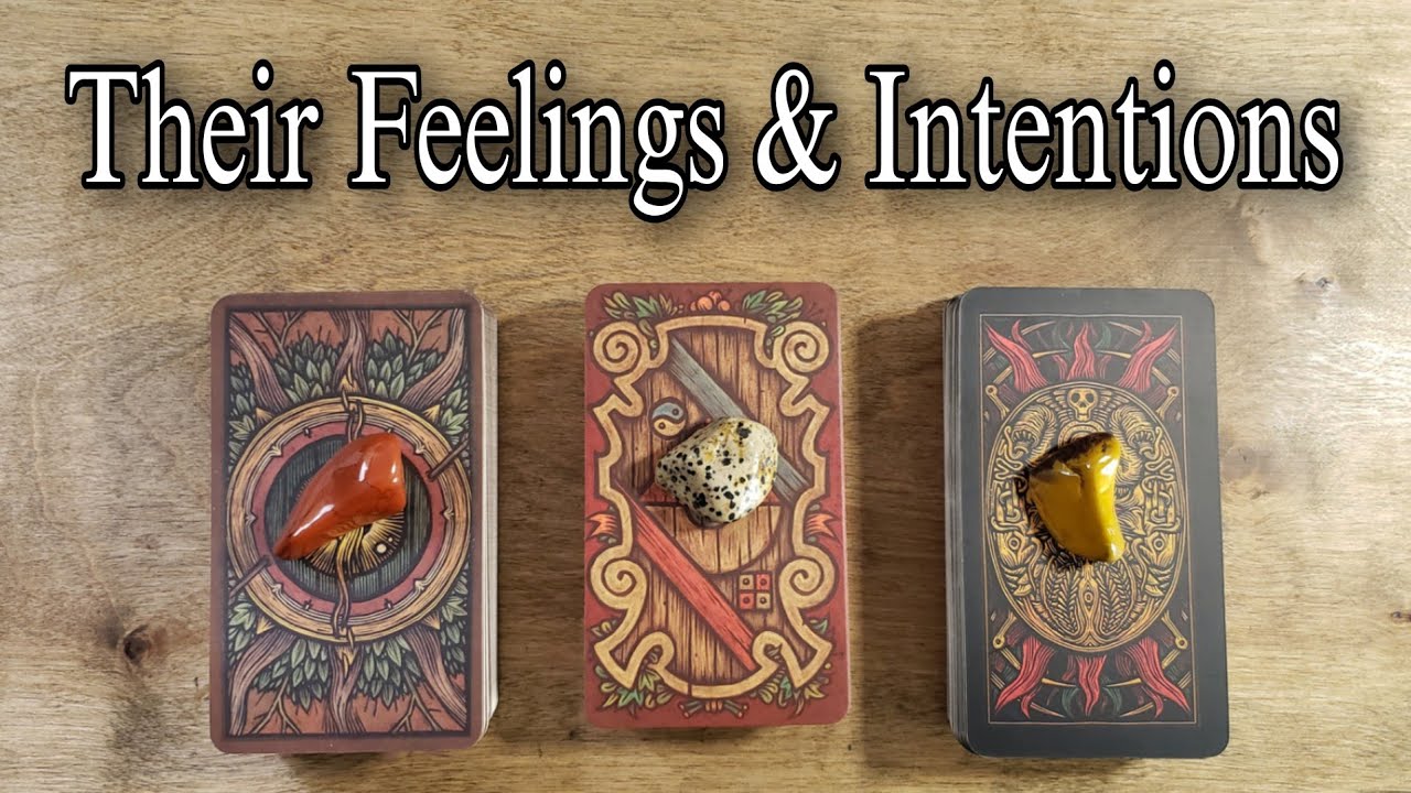 😍⚘Their Current Feelings & Intentions 🥰⚘ Pick A Card Reading