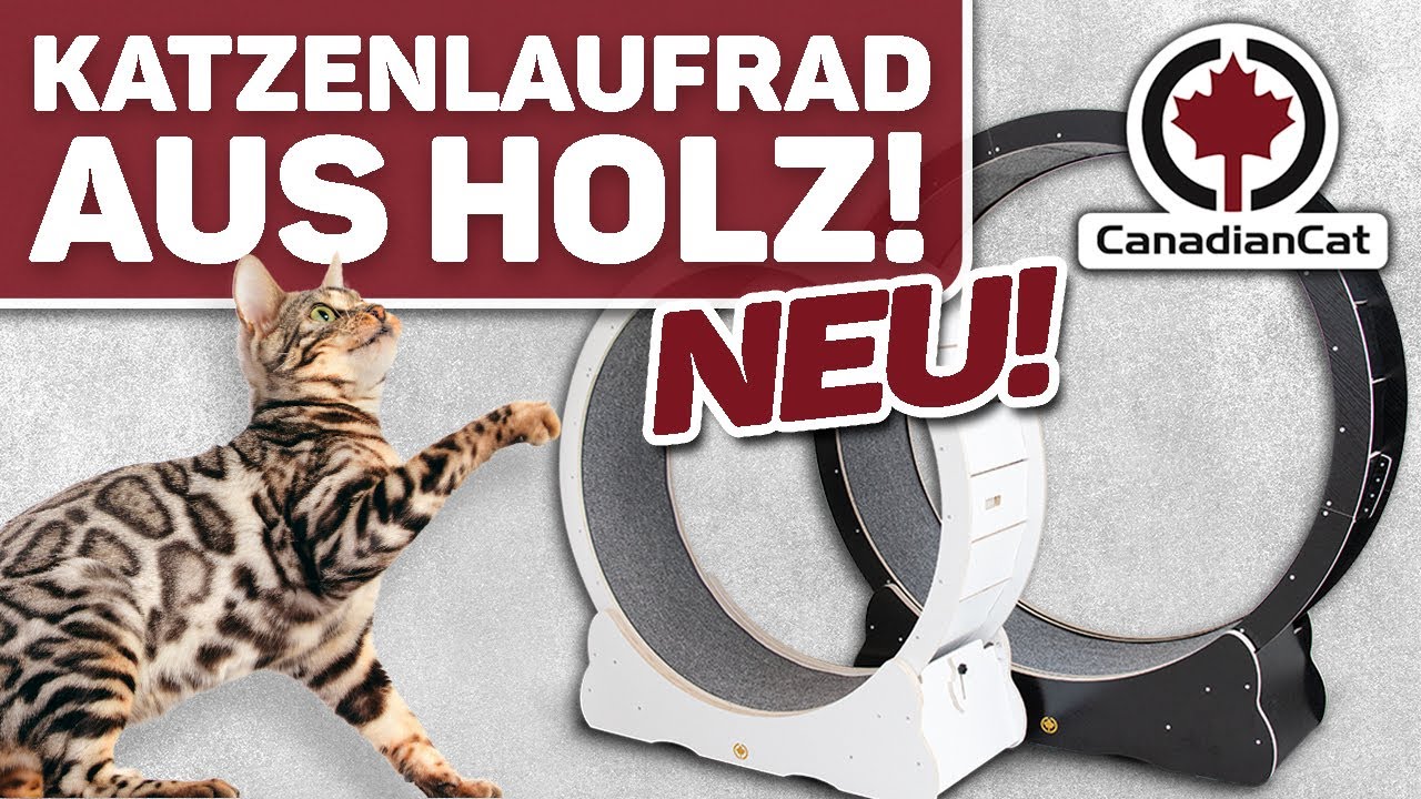 Cat in Motion | CanadianCat Katzenlaufrad - Bausatz aus Holz