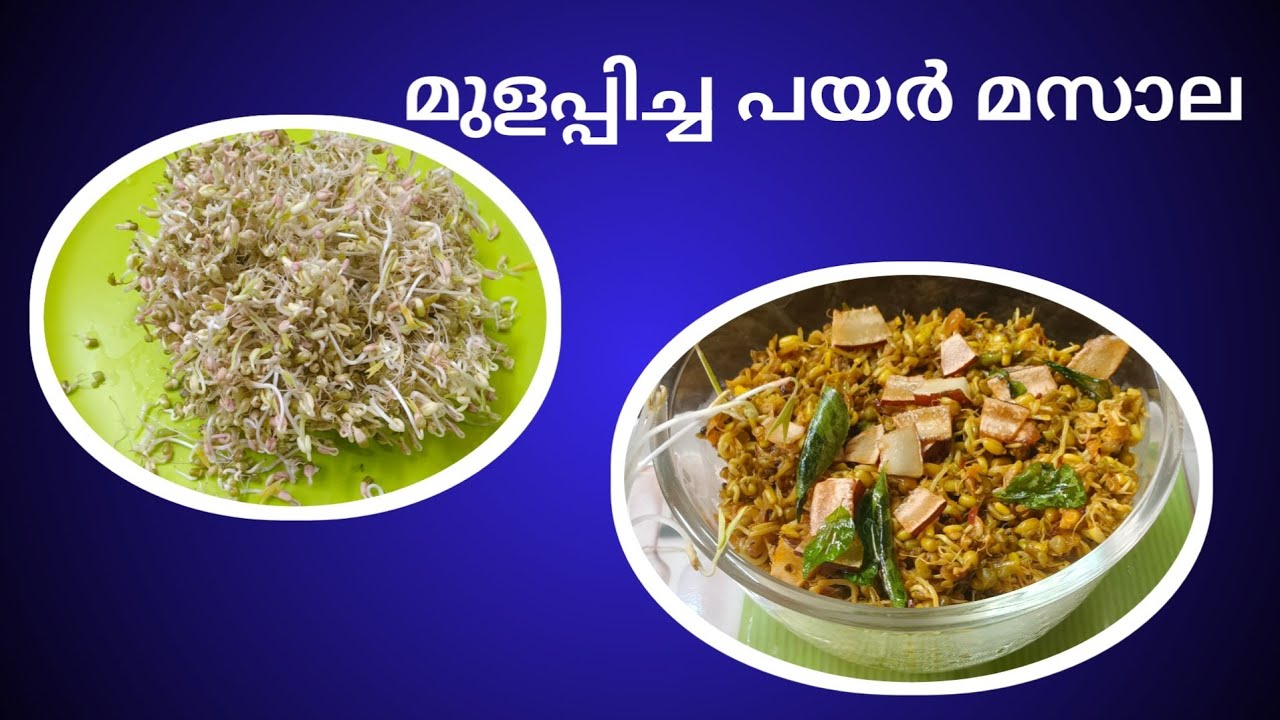 Sprout 🌱🌱 Masala.....