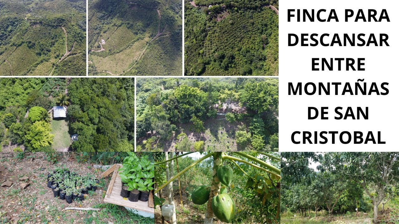 Finca 105 tareas en San Cristobal Hato Damas Montañosa Ecológica y con Frutales #inmobiliariabrito