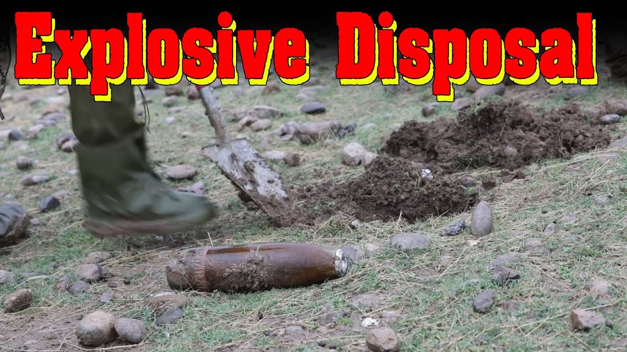 German army doing Explosive Disposal