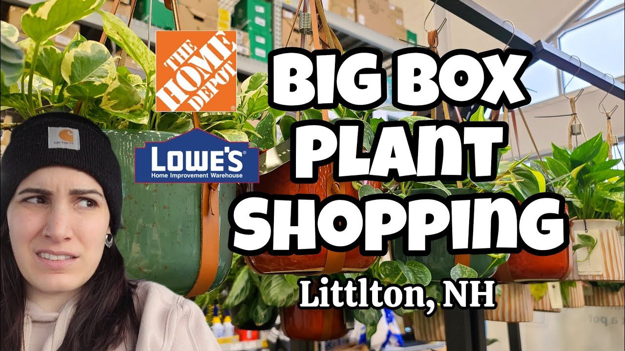 Home Depot & Lowe's Plant Shopping in Littleton, NH 🌿✨️ Christmas has arrived! 🎄