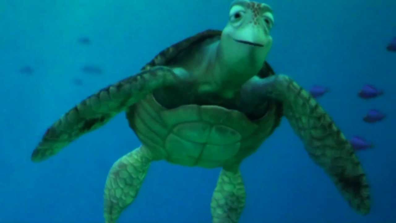 タートル・トーク TurtleTalk  クラッシュどアップ 東京ディズニー・シー