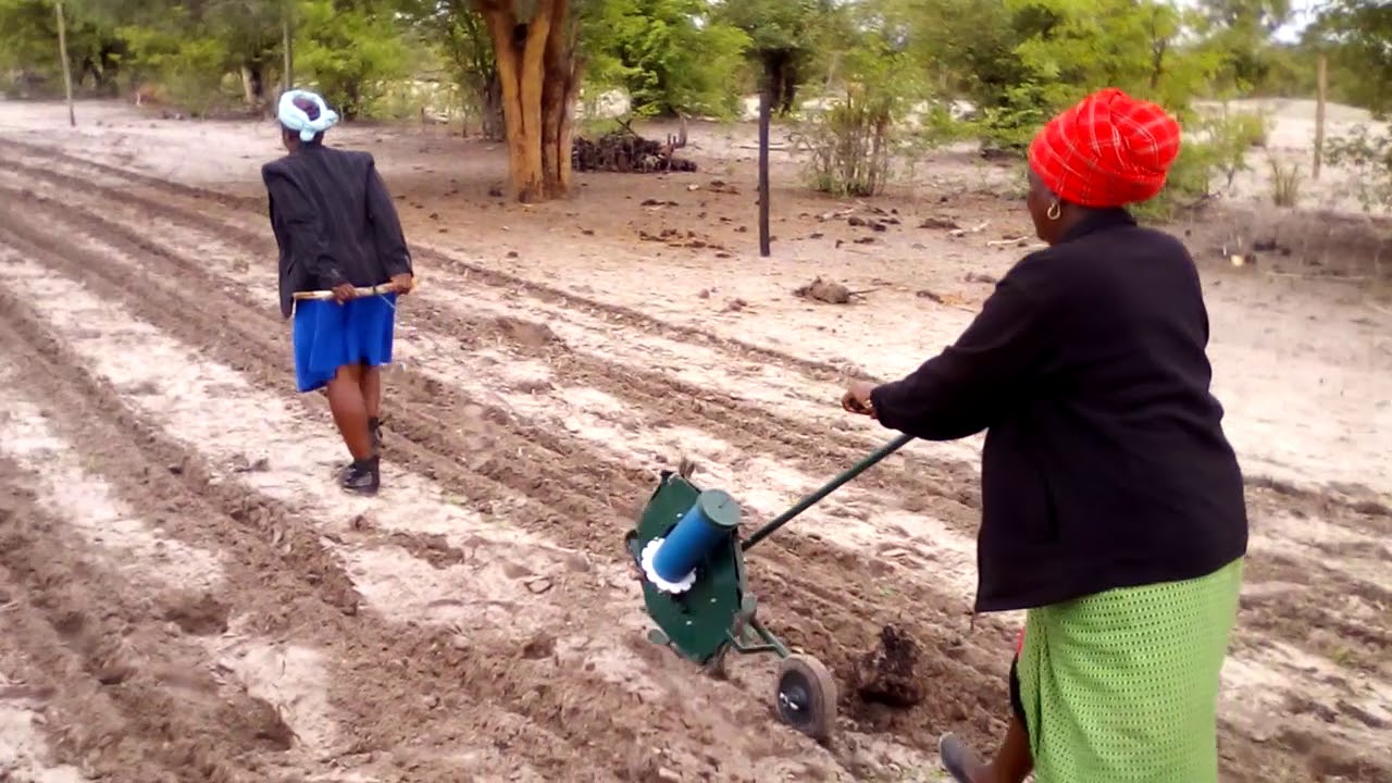 Haraka rolling punch planter Botswana 2019