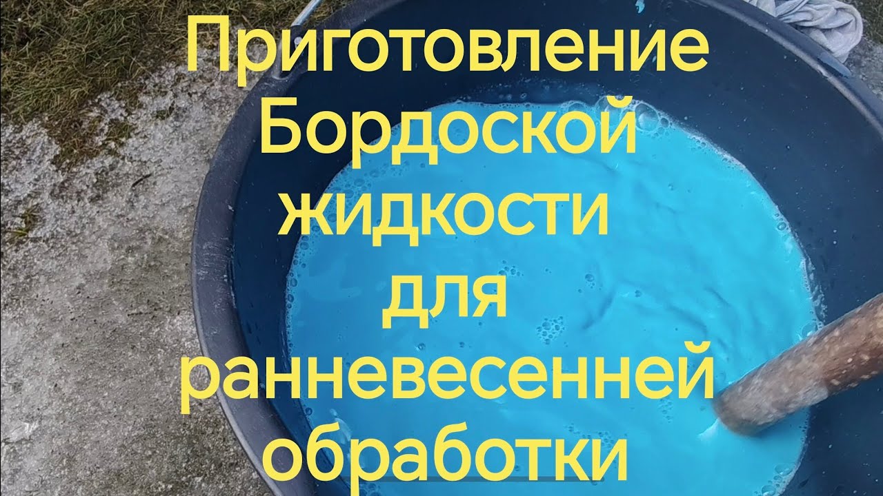 Ранневесенняя обработка Бордоской жидкостью