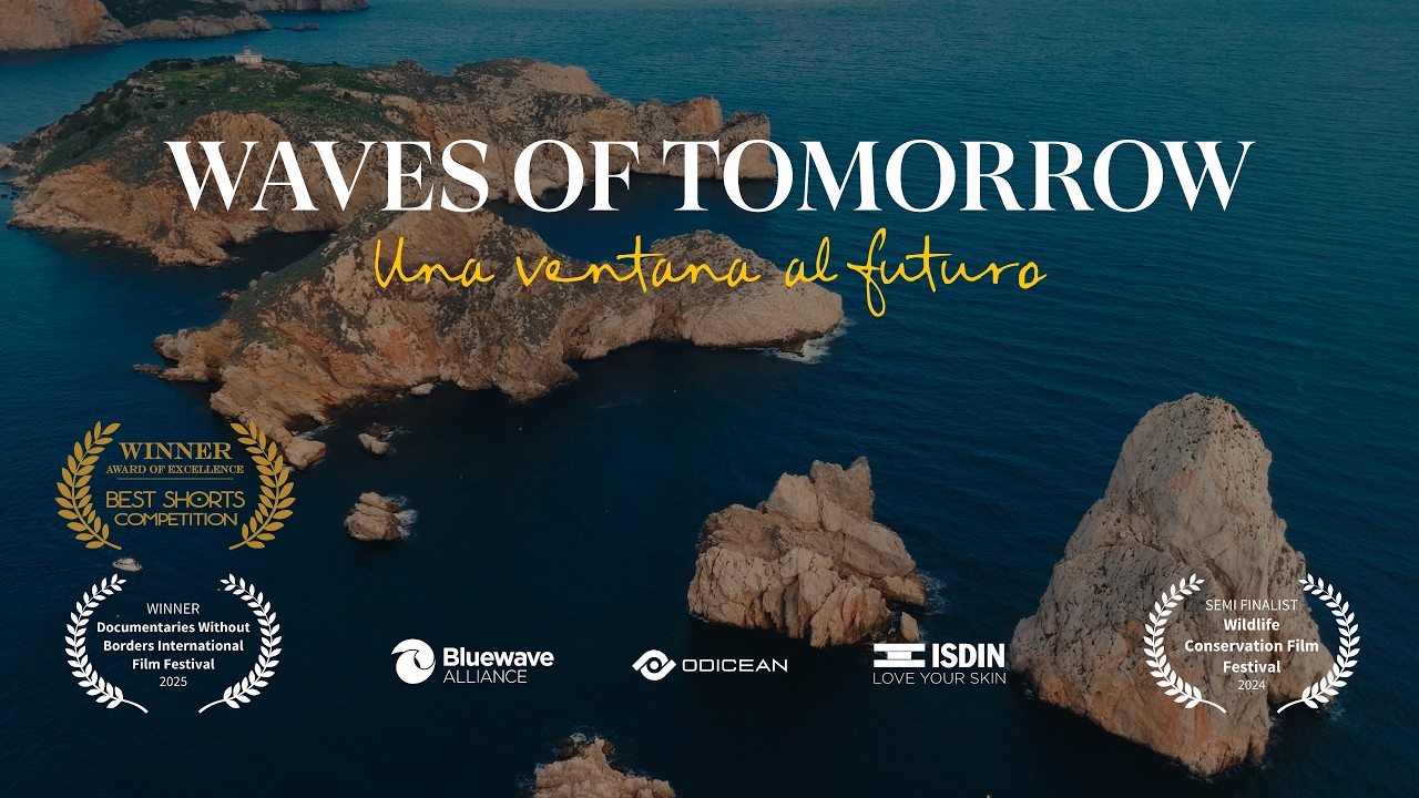 Waves of Tomorrow: Una ventana al futuro