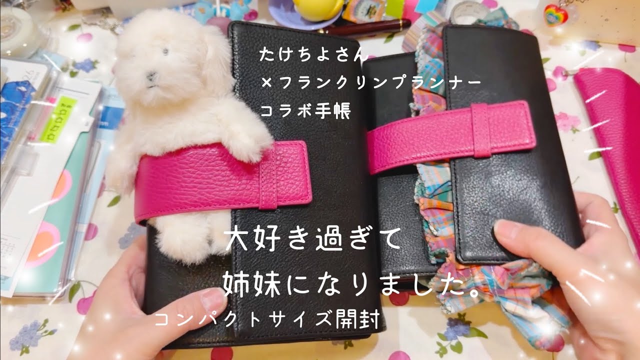 姉妹になったピンクポルティ手帳を開封【声入り】