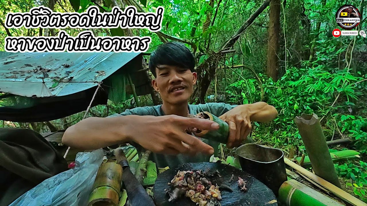 ตอนเช้าในป่าใหญ่หลามบ่างขี้ขม/ຕອນເຊົ້າໃນປ່າໃຫຍ່18 กันยายน ค.ศ. 2025