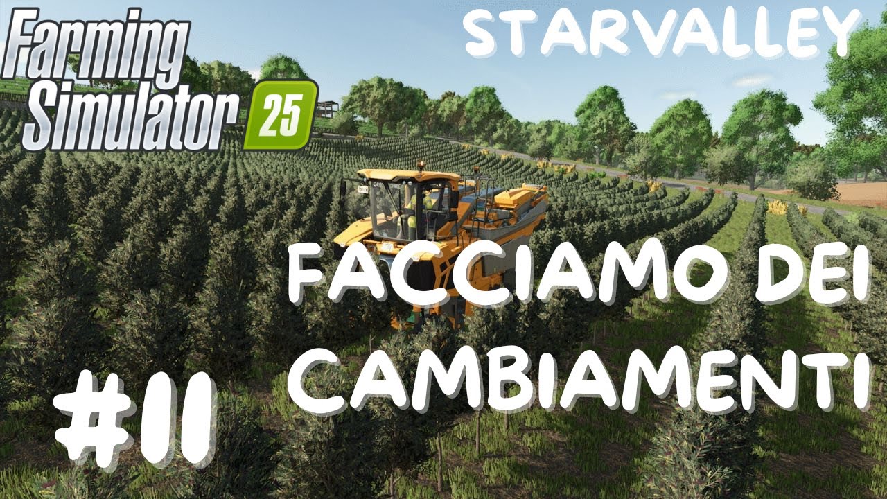FACCIAMO DEI CAMBIAMENTI-FS25-STARVALLEY-#11-GINOGAMERINO