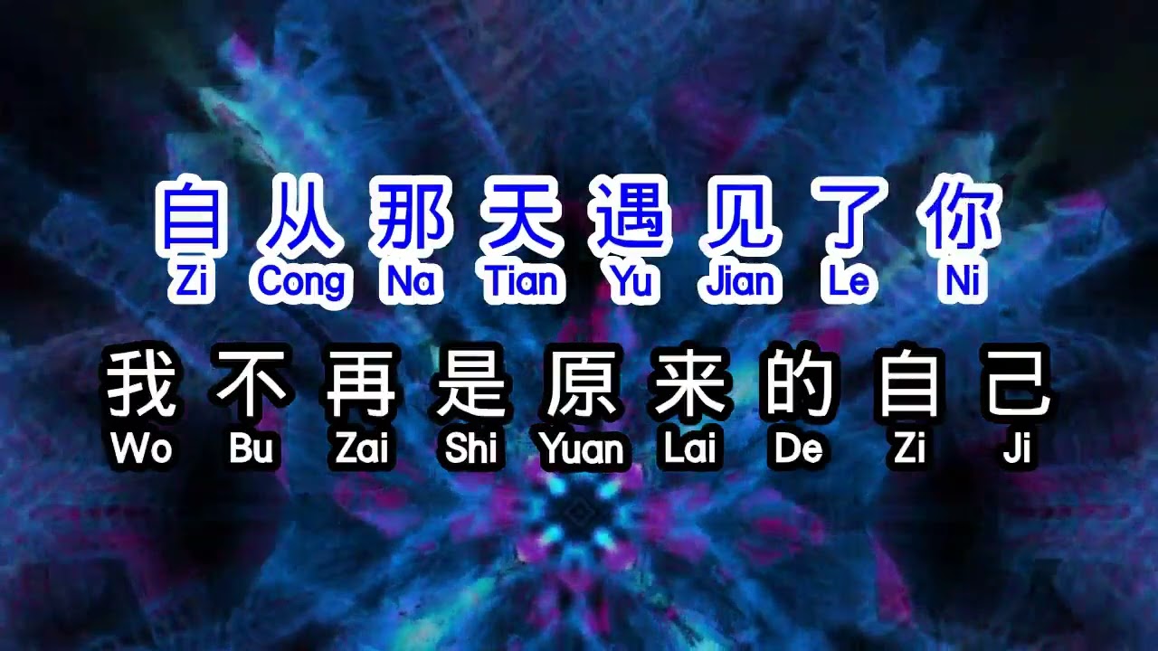 雨中百合  《 自从那天遇见你 》  zi cong na tian yu jian ni