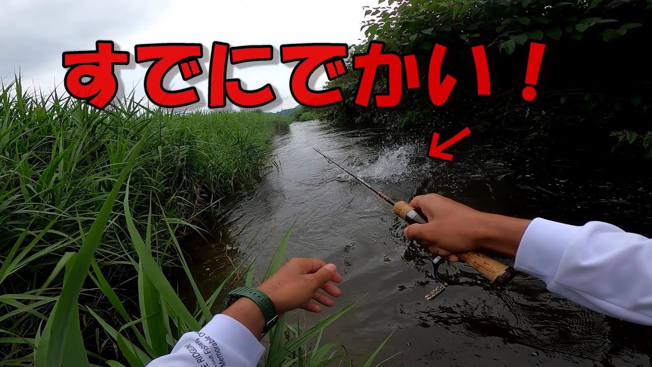 草ボーボーの川のぬしを釣るのだぜ！！