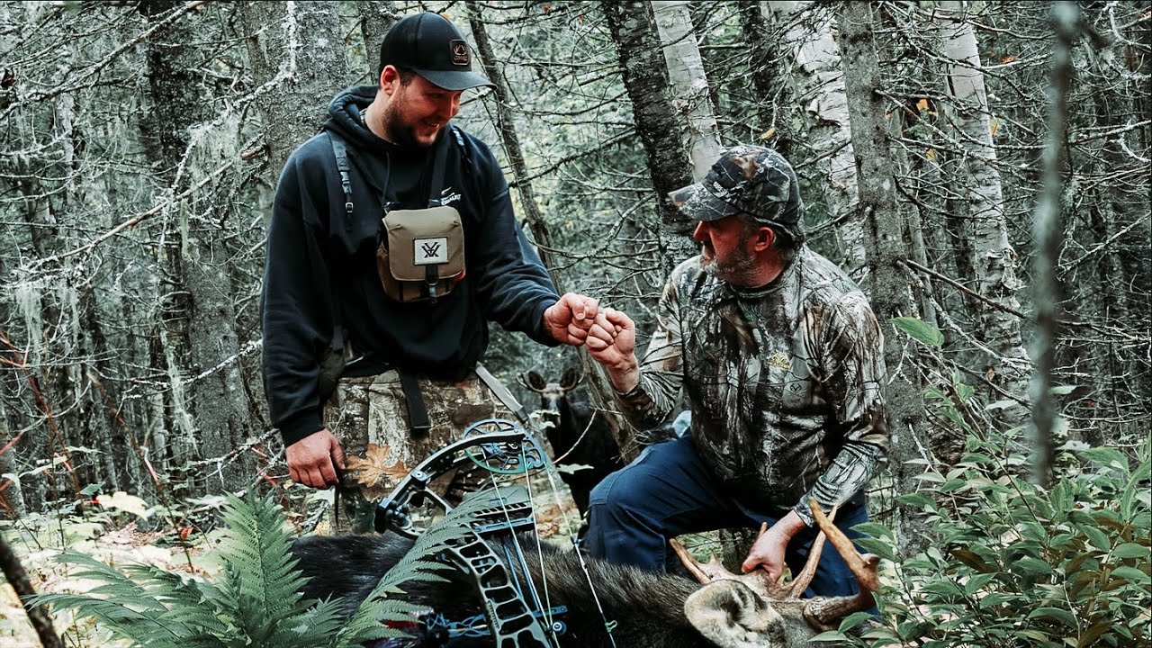 Chasse &agrave; l'orignal