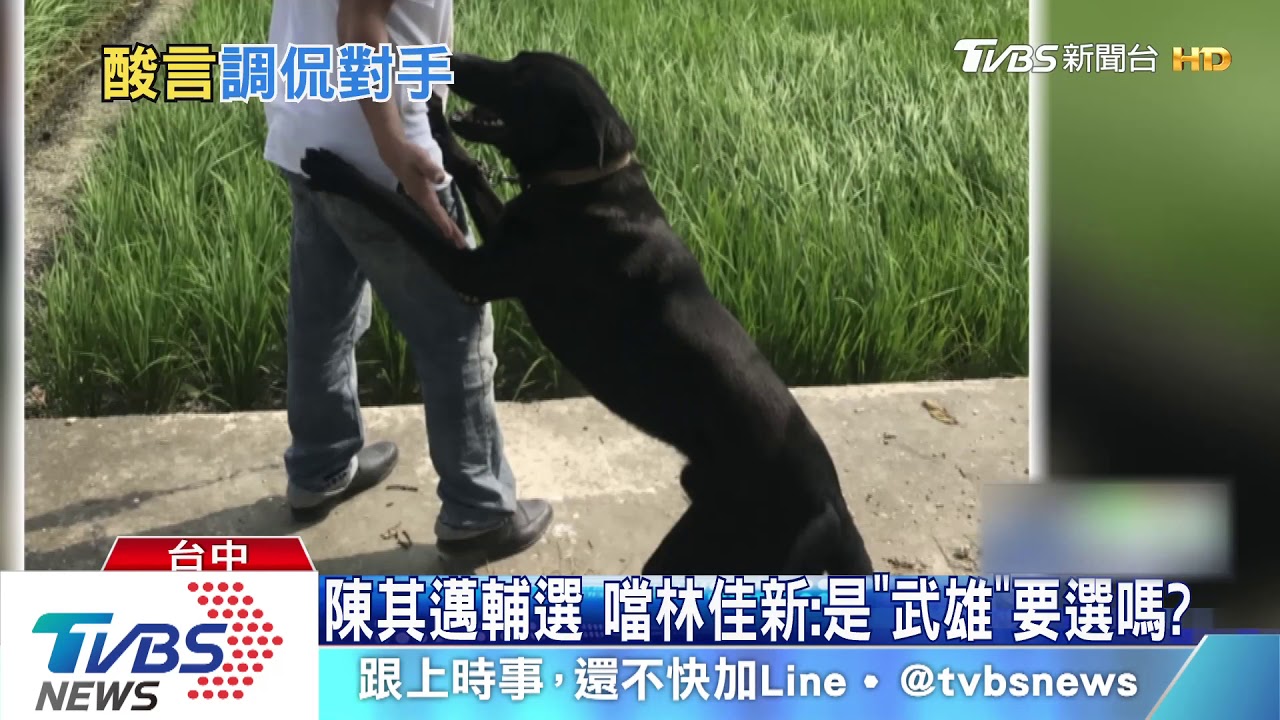 陳其邁輔選　噹林佳新：是「武雄」要選嗎？