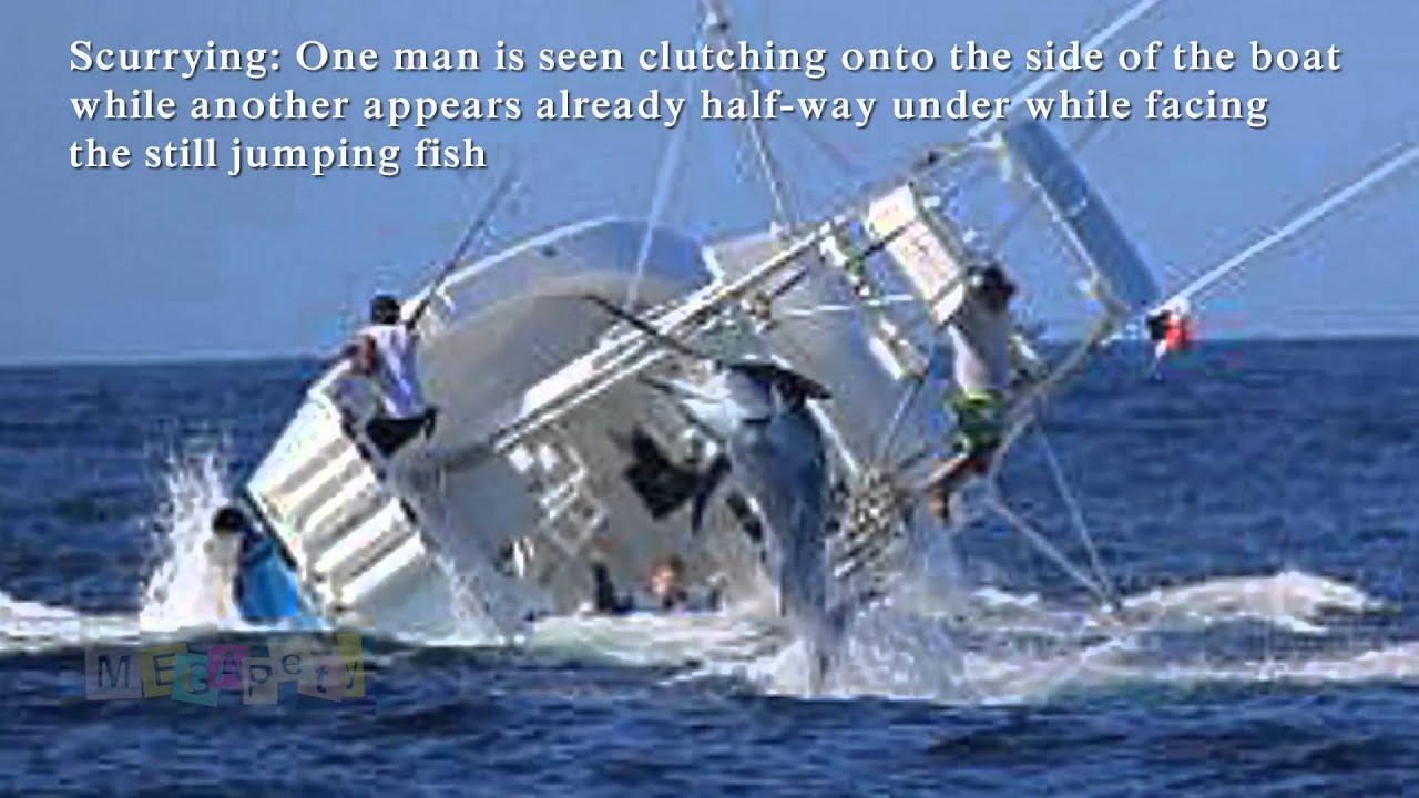 Marlin Sinks Fishing Boat. Vessel Capsizes After Hooking Huge Fish [Reuploaded]