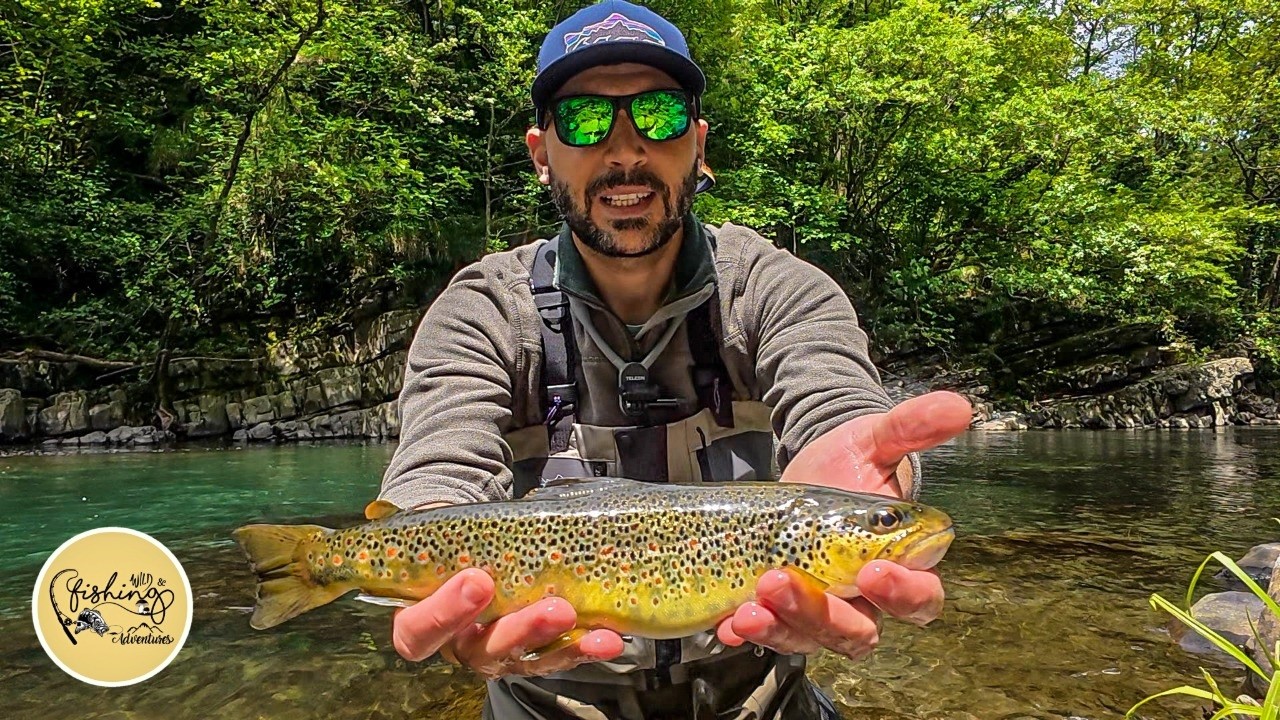 PESCA A MOSCA | Un nuovo UPGRADE