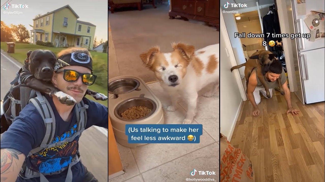 Random things a dog does that i think are really cute or funny