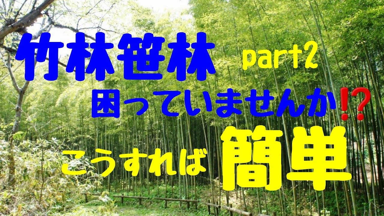 簡単【竹林、笹林伐採】。