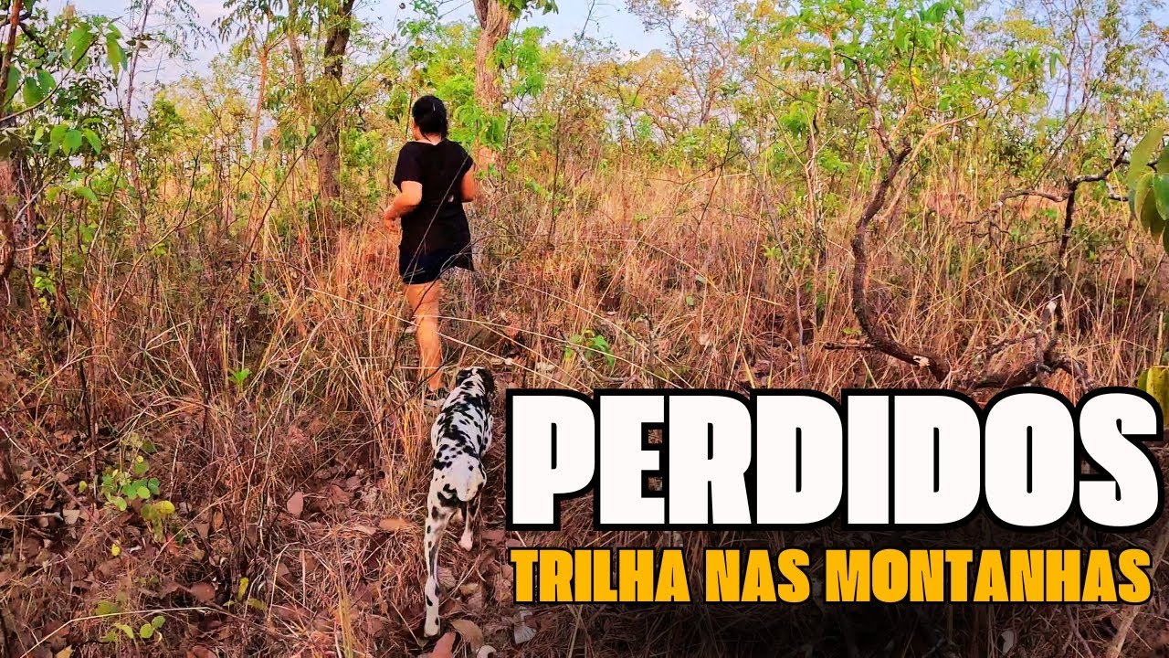 Decidir construir uma trilha nas montanhas e me perdir no mato