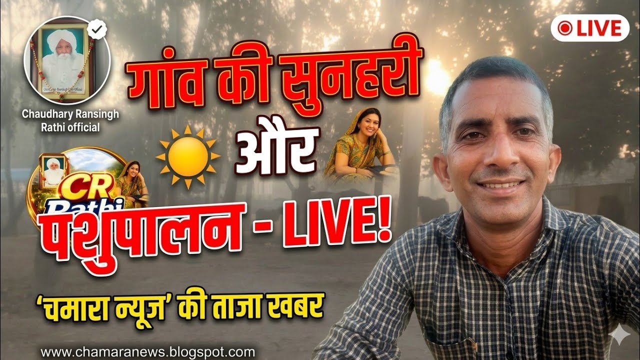 गांव की सुहानी सुबह @RansinghRathiofficial और पशुपालन का असली देसी जीवन 🪵🐄 | Live Village Tour