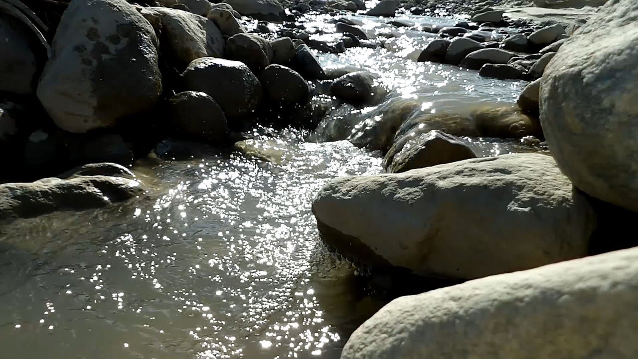 Peaceful Creek Ambience - Nature's Gentle Soundscape for Relaxation & Focus