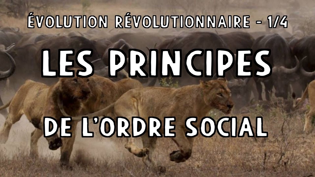 &Eacute;volution r&eacute;volutionnaire - part 1/4 - Les Principes de l'ordre social