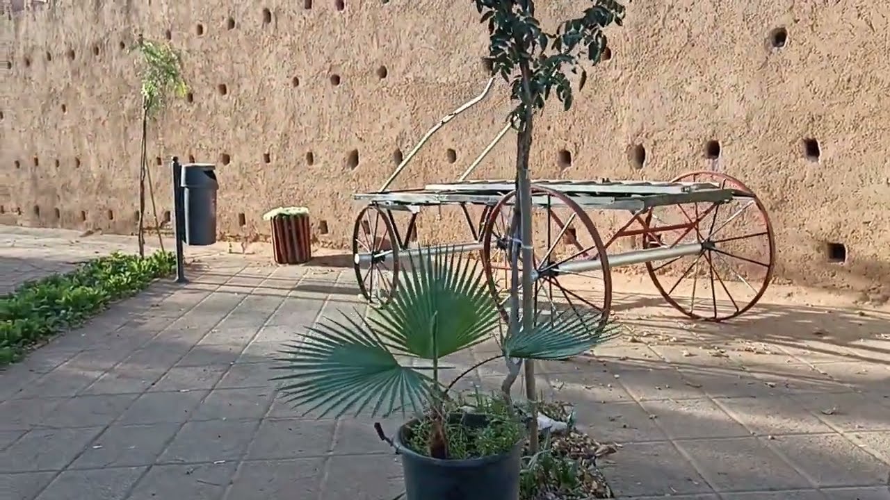 جوله في المتحف حديقة للا مريم وجدة 🤩 استرخاء مع اصوات العصافير