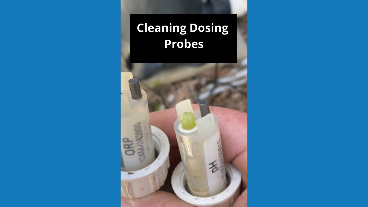 How to clean PH and ORP Probes #poolmaintenance #poolguy #pool