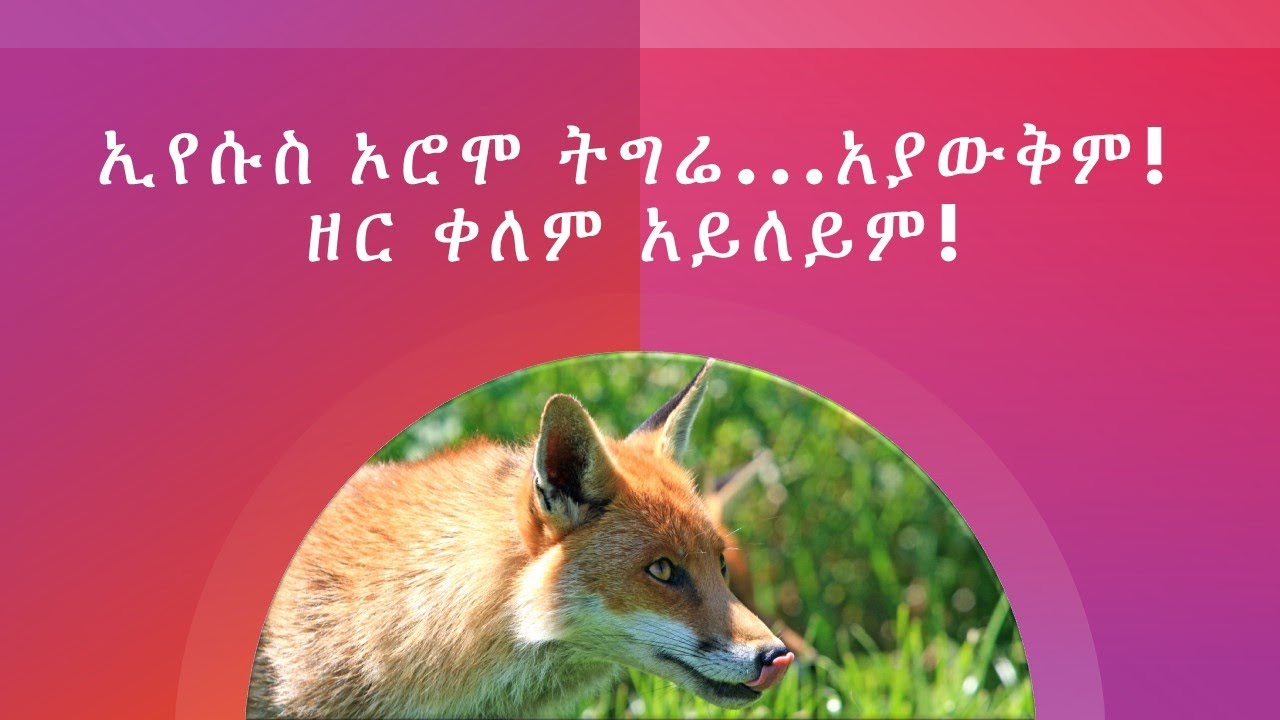 ክቡሩ ሰው የሚጠፋውን እንስሳን መሰለ!