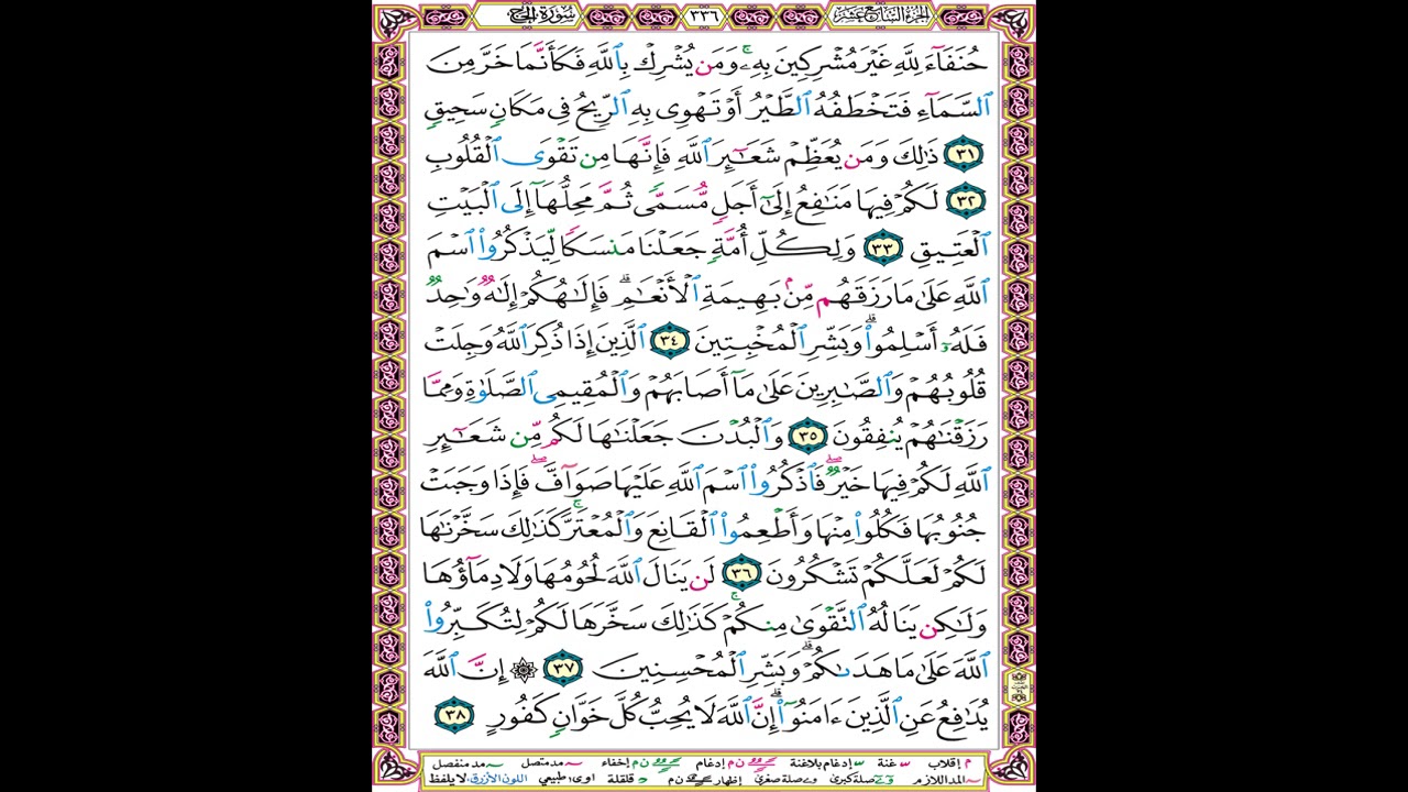 صفحة 336 من المصحف المعلم المرئي المسموع بصوت الشيخ محمود الحصري