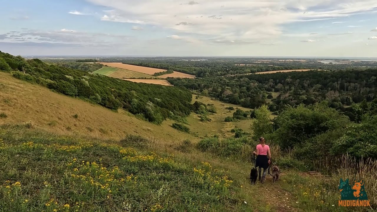 A véráztatta völgy - Kingley Vale