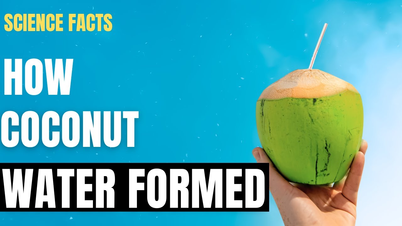 Science Facts: How Coconut Water Formed? What composition it is?