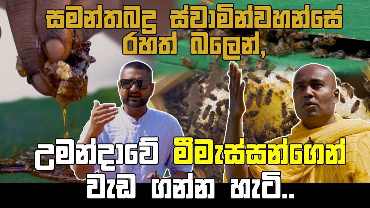 රහත් බලයෙන් මී මැස්සන්ගෙන් වැඩ ගන්න හැටි - සමන්ත බද්‍ර ස්වාමීන් වහන්සේ