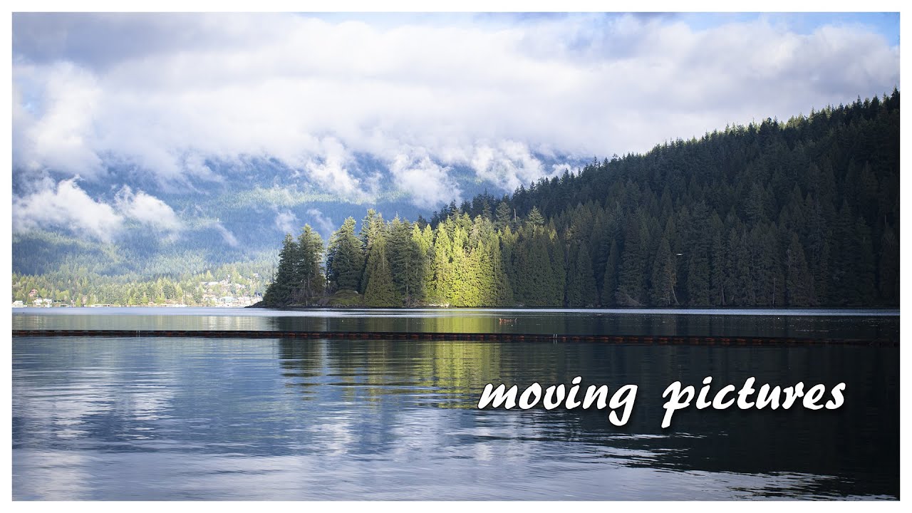 Peaceful Moments at Vancouver's Most Serene Park / Pentax K3 MK III / DJI Neo 2