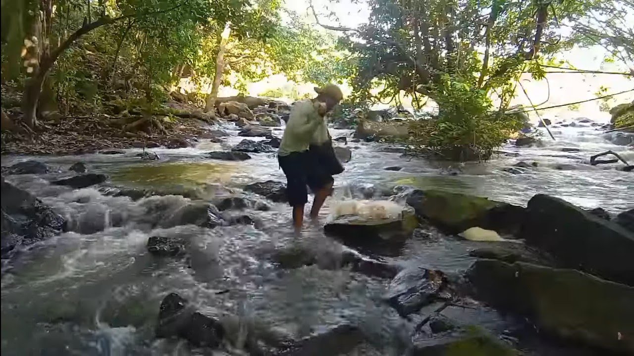 Os brutos aparecem neste lugar 
