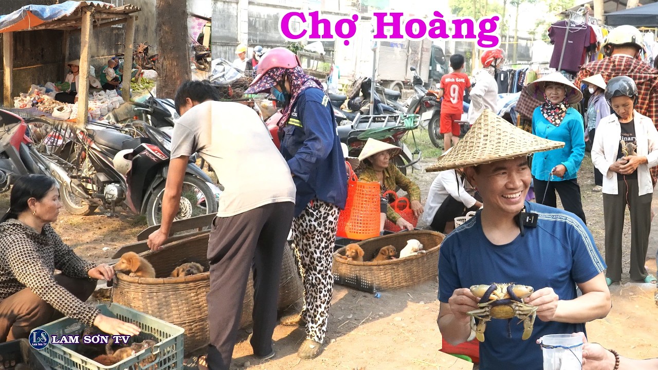 Chợ Ho&agrave;ng - Nga Sơn: Phi&ecirc;n chợ cổ h&agrave;ng 100 năm | LAM SƠN TV