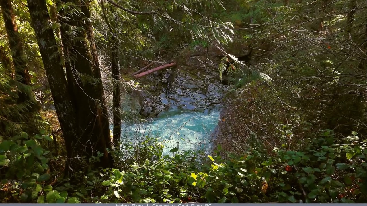Gold River Village  BC