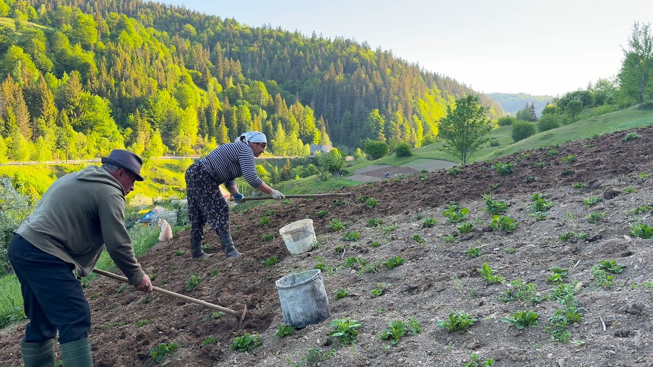 ❤️ Hard but Loving Village Life of Maria and Volodymyr | Carpathian Food & Farm Animals