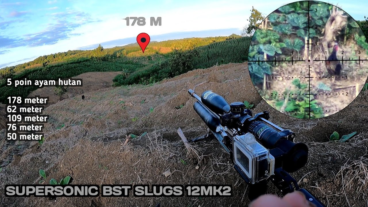Berburu ayam hutan ‼️ Ku kira sepi ternyata woww 😆😆 Longrange BST slugs 12mk2 || SUPERSONIC