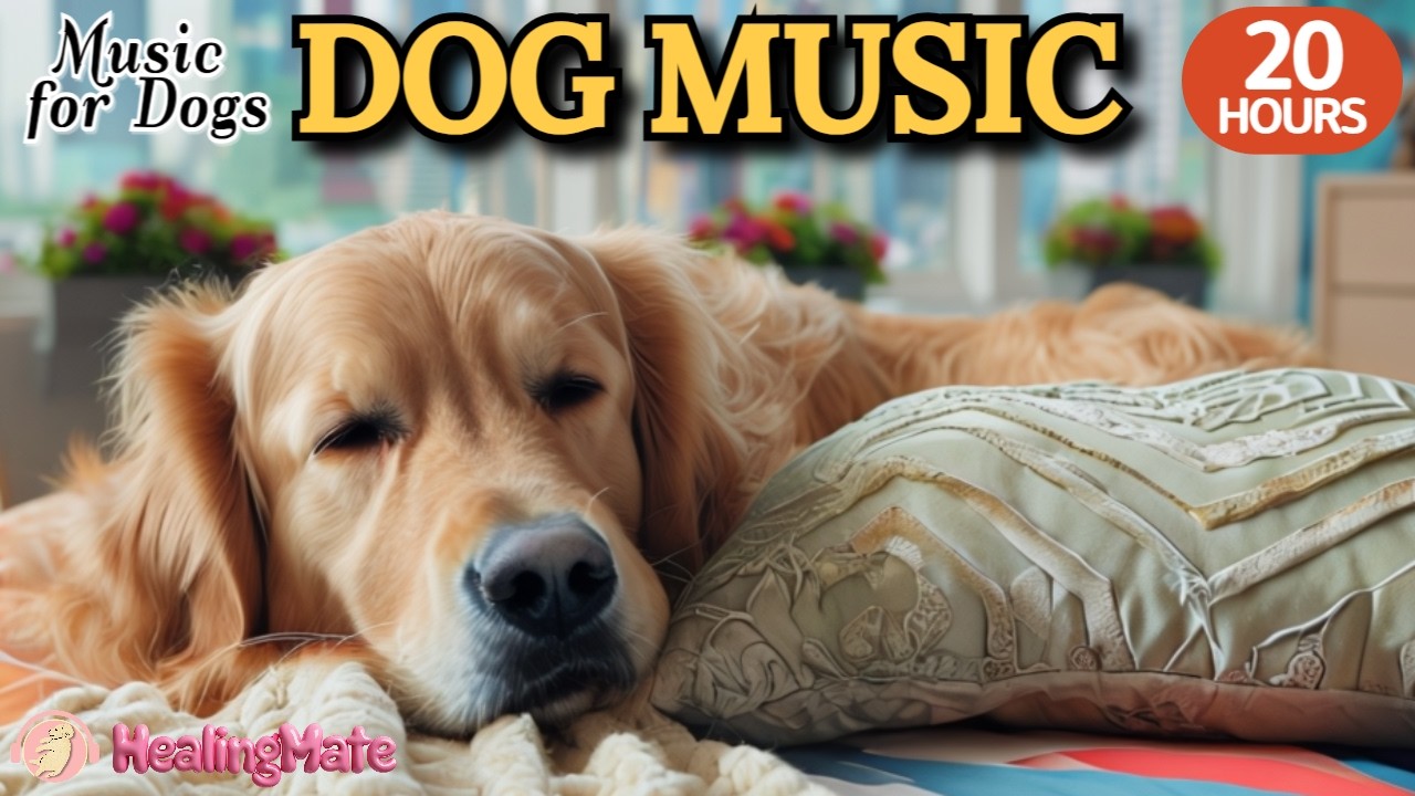 강아지가 좋아하는 음악💖🎵강아지 수면 음악 20시간🐶💖강아지 분리불안 해소 음악🎵💖강아지 혼자 집에 있을때 반려견의 스트레스 해소음악🐶💖출근할때 외출할때 틀어주세요 by 힐링메이트