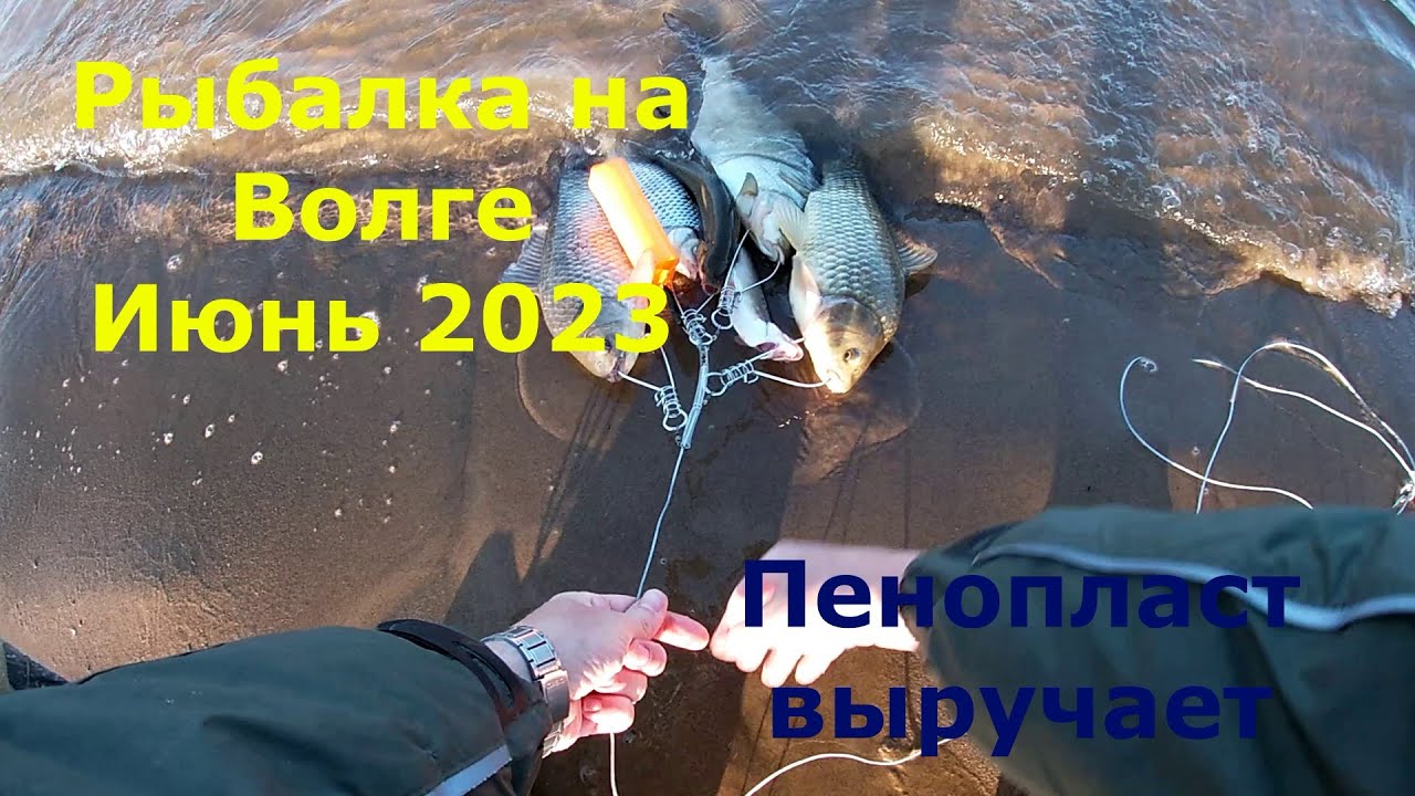 Опять он меня выручает! Рыбалка на пенопласт! Река Волга! Июнь 2023!
