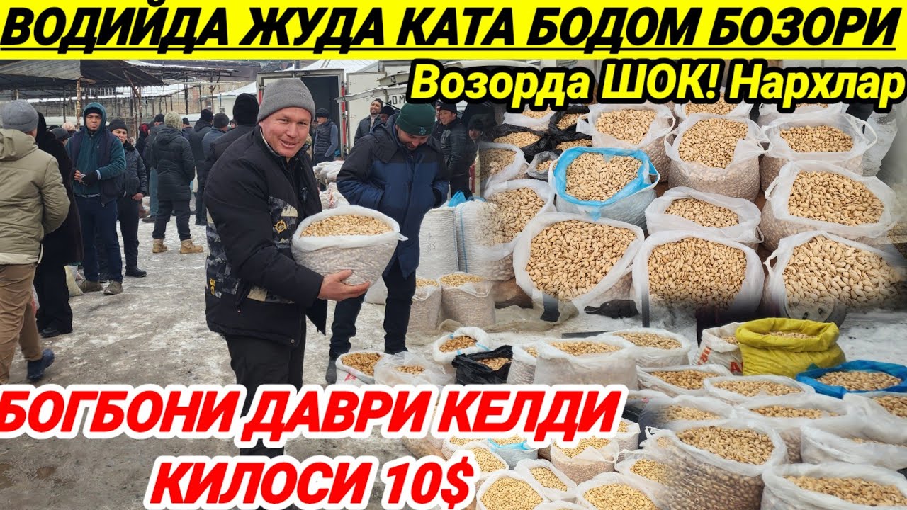 Vodiyda katta Optom bodom narhlari 24-yanvar, 2026